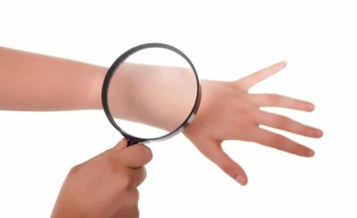 pelle-in-esame.jpeg pelle-difese-nautrali.jpeg