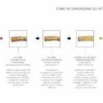 ITA_NK Wonderful m.arganoil copia