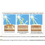 filtri-solari 2