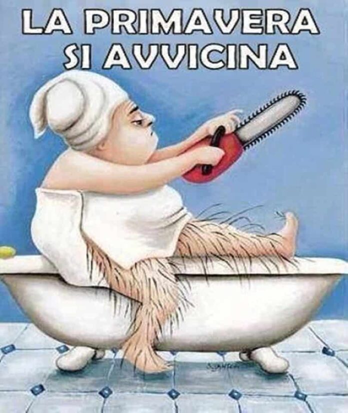 5 motivi per cui dovresti scegliere il laser epilazione 5 motivi per cui dovresti scegliere il laser epilazione