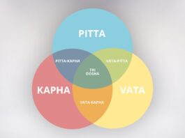 e tu che dosha sei