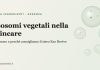Esosomi vegetali nella skincare: illustrazione di vescicole e ingrediente Exo Revive di Assenza