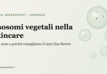 Esosomi vegetali nella skincare: cosa sono e perché consigliamo Exo Revive Esosomi vegetali nella skincare: illustrazione di vescicole e ingrediente Exo Revive di Assenza