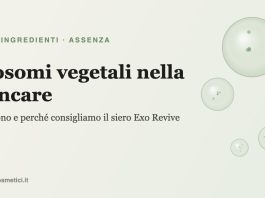 Esosomi vegetali nella skincare: illustrazione di vescicole e ingrediente Exo Revive di Assenza