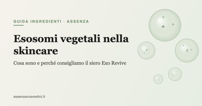 Esosomi vegetali nella skincare - Exo Revive Assenza Esosomi vegetali nella skincare: illustrazione di vescicole e ingrediente Exo Revive di Assenza